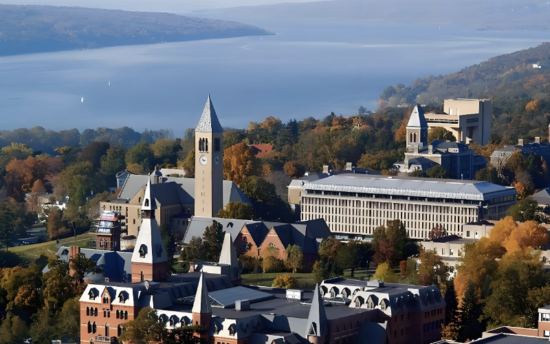 受鸟类启发 康奈尔大学成功研制目前已知最黑纺织面料