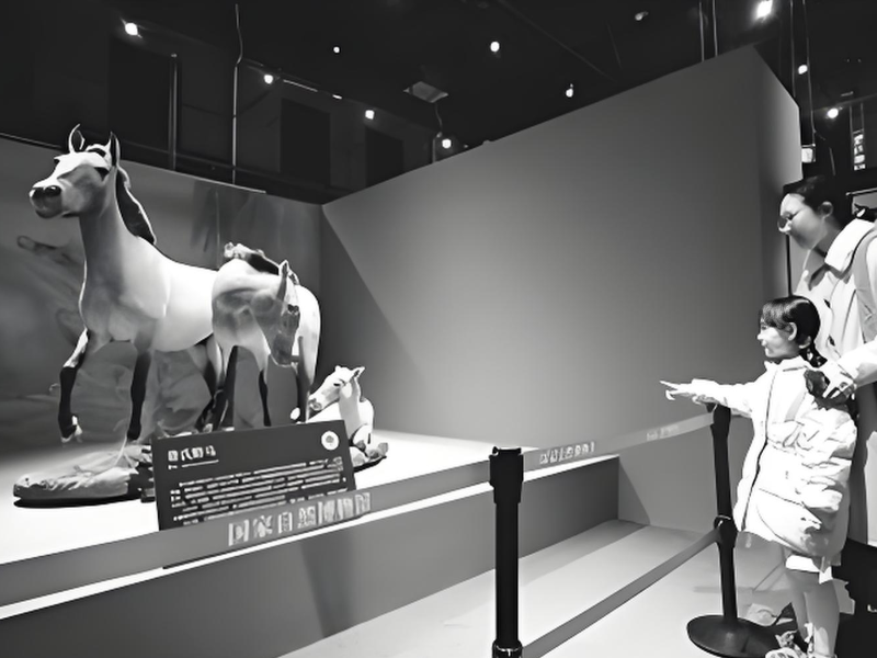 马舞新春——全球生肖文化联展启幕 共赴生肖马文化盛宴