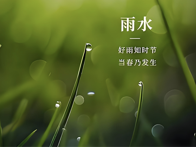 春雨润物 古韵今承：雨水节气背后的千年历法智慧
