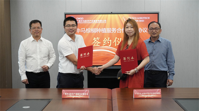 绿色棕榈种植应用合作