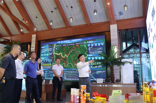 王文远到中马合资公司调研绿色棕榈产业人工智能项目