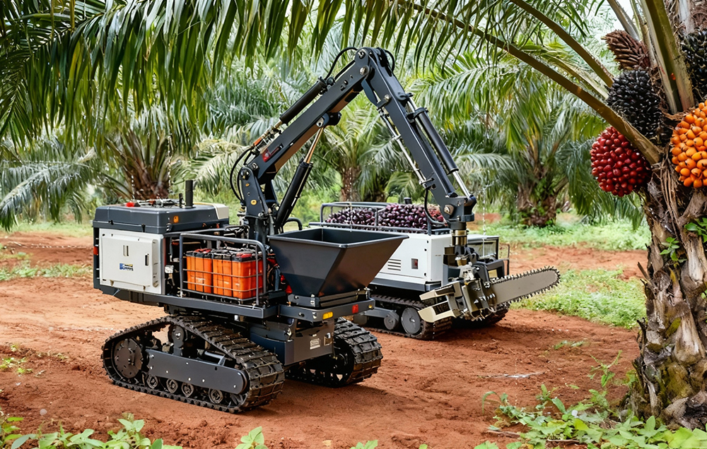 油棕果智能采收示意图