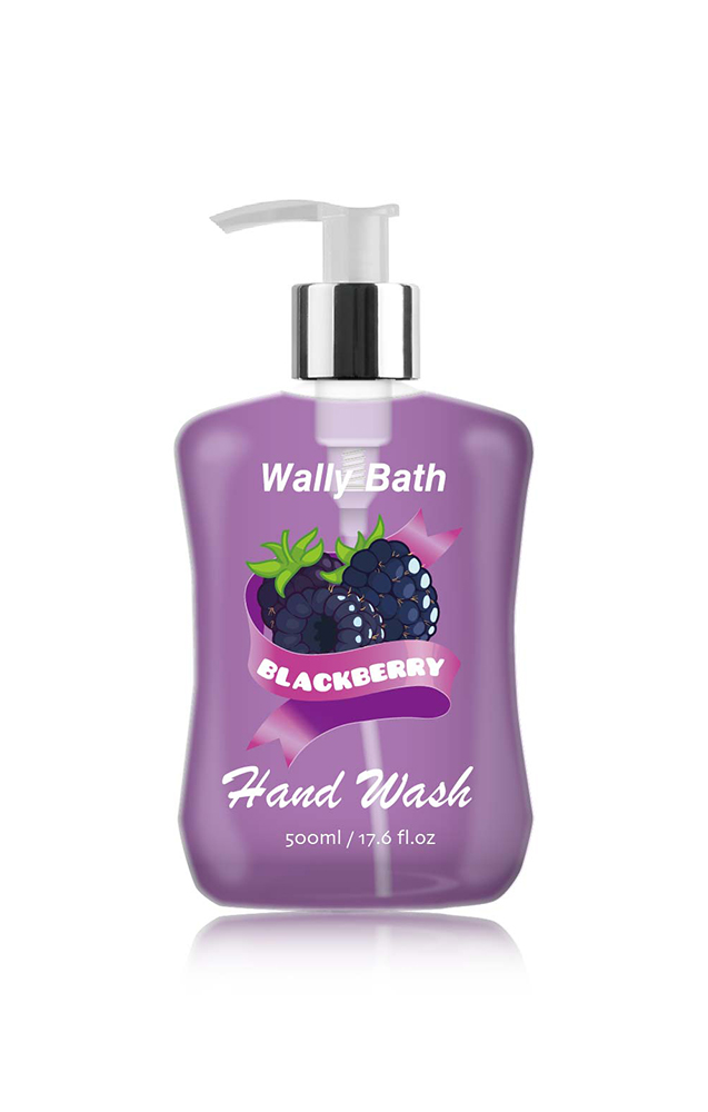 WB22AL500sypHW17B Hand Wash-5