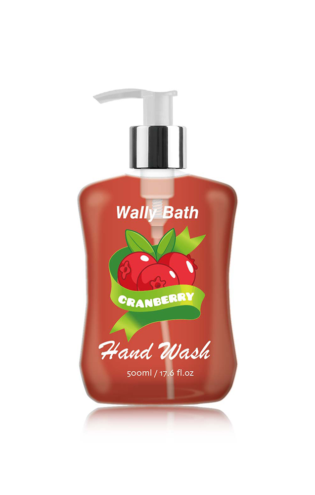 WB22AL500sypHW17C Hand Wash-1