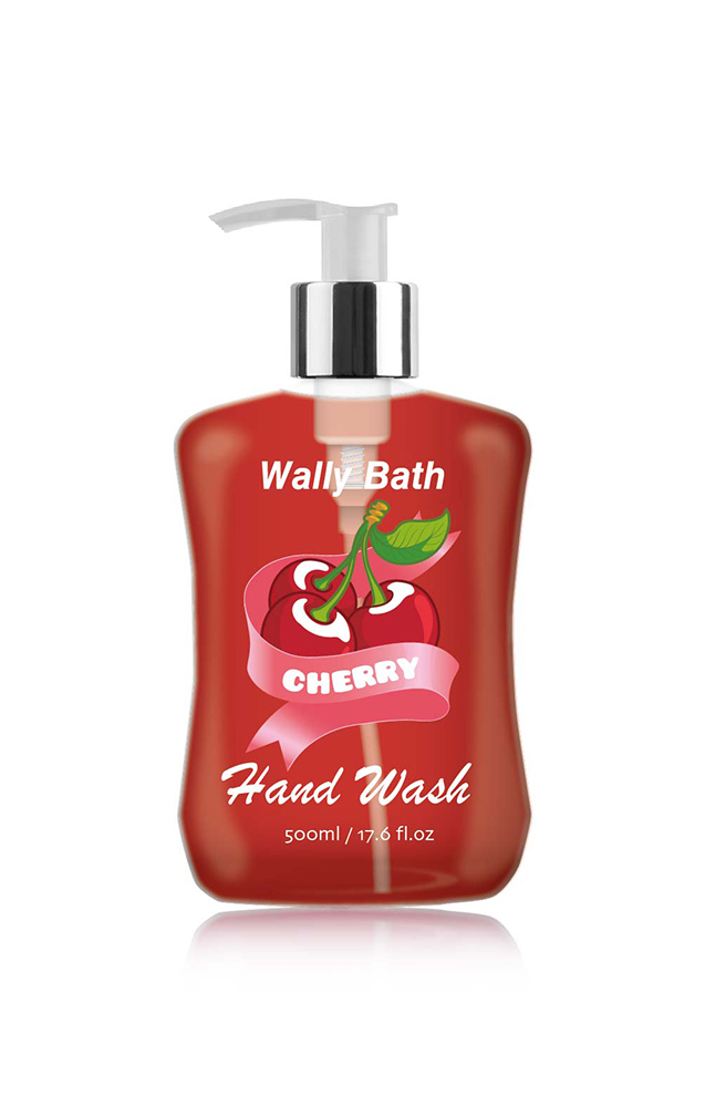 WB22AL500sypHW17C Hand Wash-4