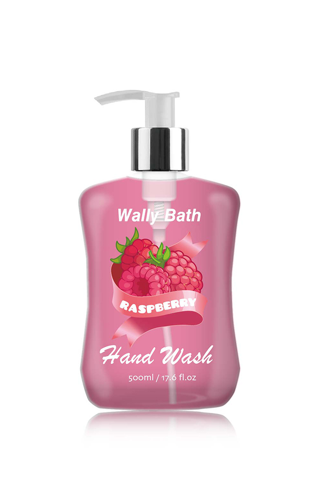 WB22AL500sypHW17R Hand Wash-3