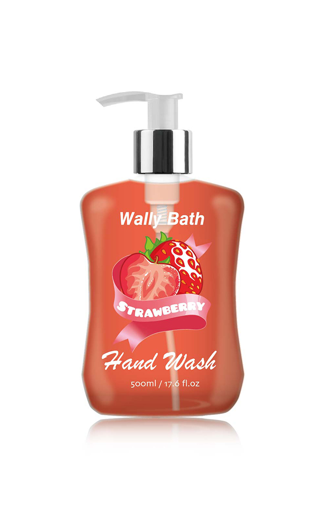 WB22AL500sypHW17S Hand Wash-6