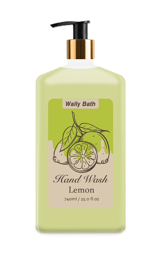 WB22AL740bpHW18L hand wash-1