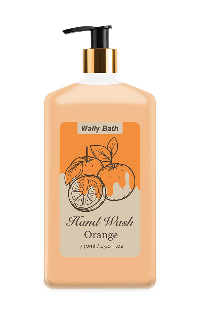 WB22AL740bpHW18O hand wash-3