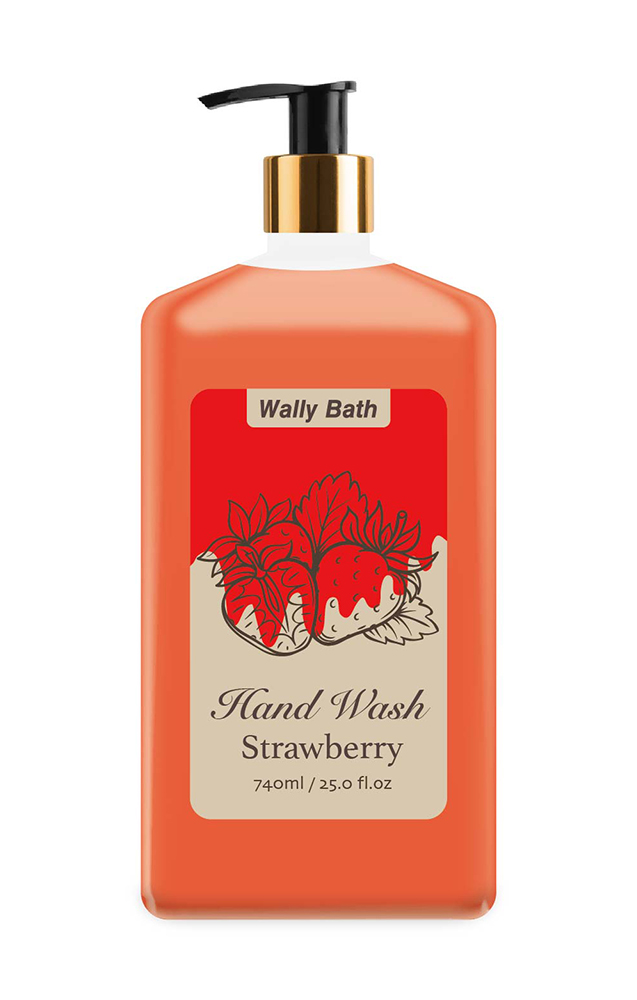 WB22AL740bpHW18S hand wash-6