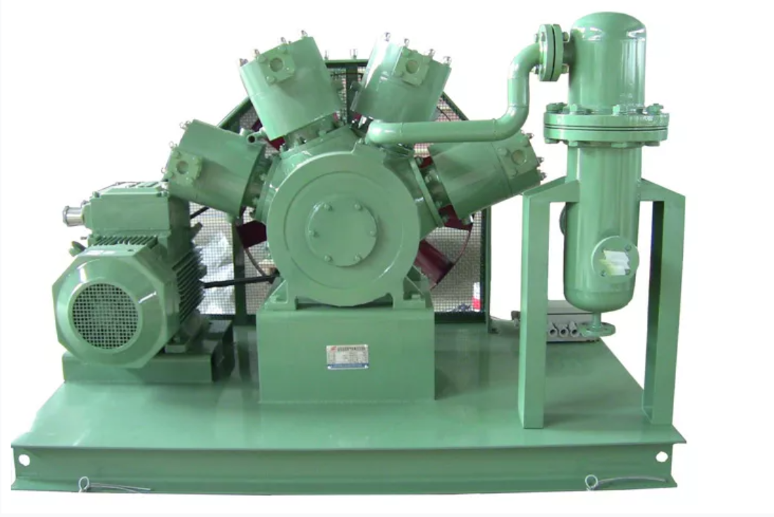 Oil-Free Fluoride Gas Compressor