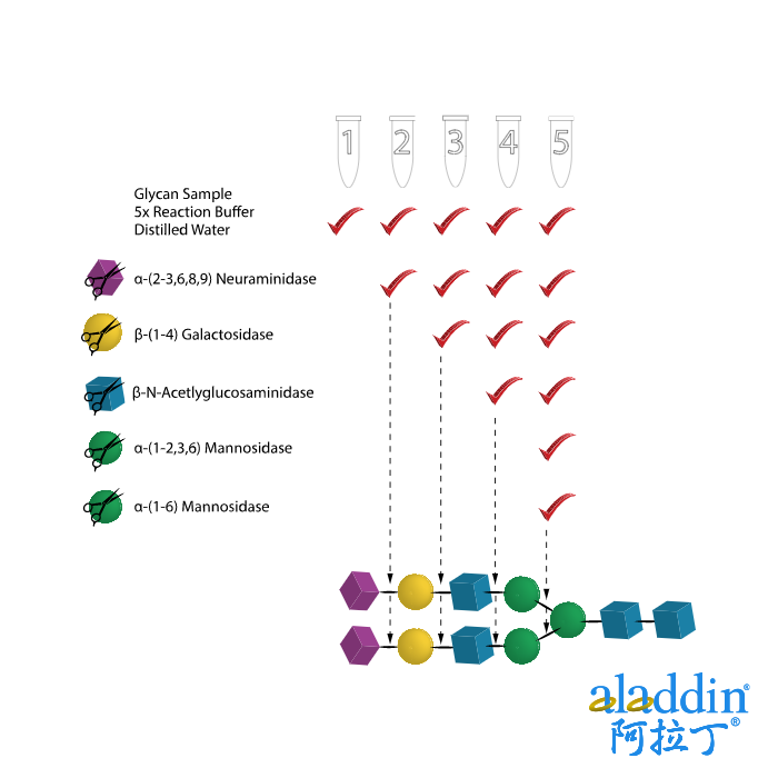 Glycan Sequencing Kit