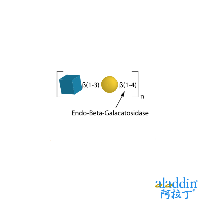 Endo-Beta-Galactosidase