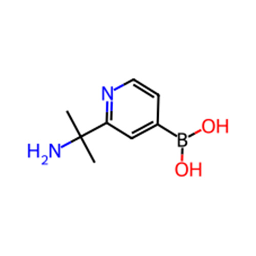 2225181-41-7/(2-(2-aminopropan-2-yl)pyridin-4-yl)boronic acid