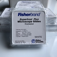 Fisherbrand 12-550-15 Superfrost Plus防脱载玻片