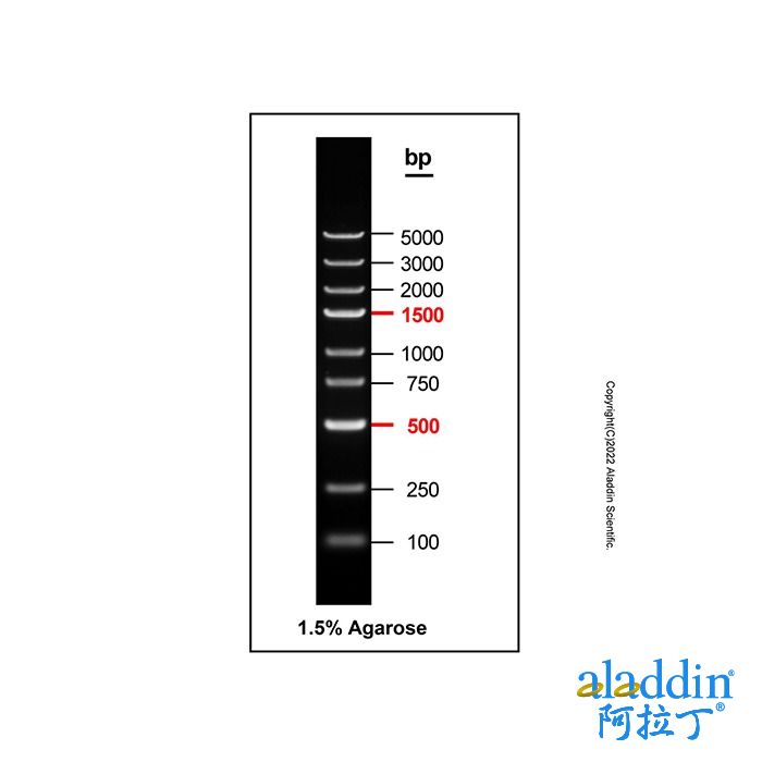 Gelred-prestained DNA Ladder (100-5000bp)