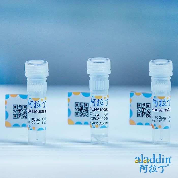 蛋白质编号: P04415/T4 DNA 聚合酶