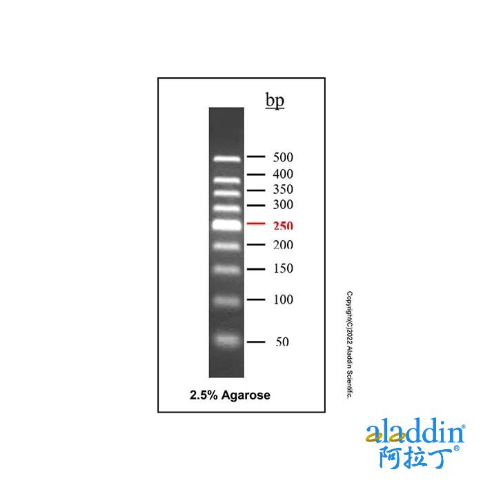 DNA Ladder (50-500bp)