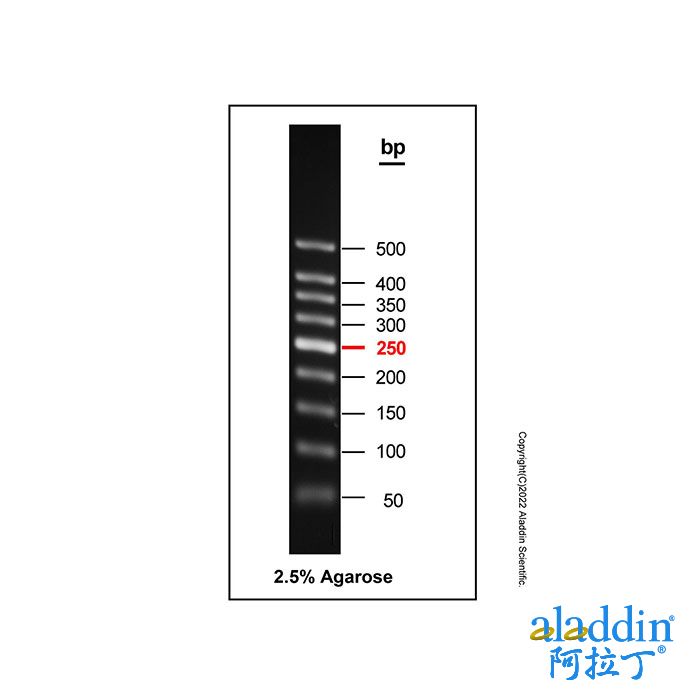 Gelred-prestained DNA Ladder (50-500bp)