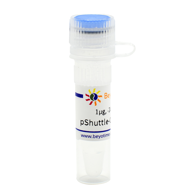 pShuttle-CMV-N-HA(腺病毒质粒)