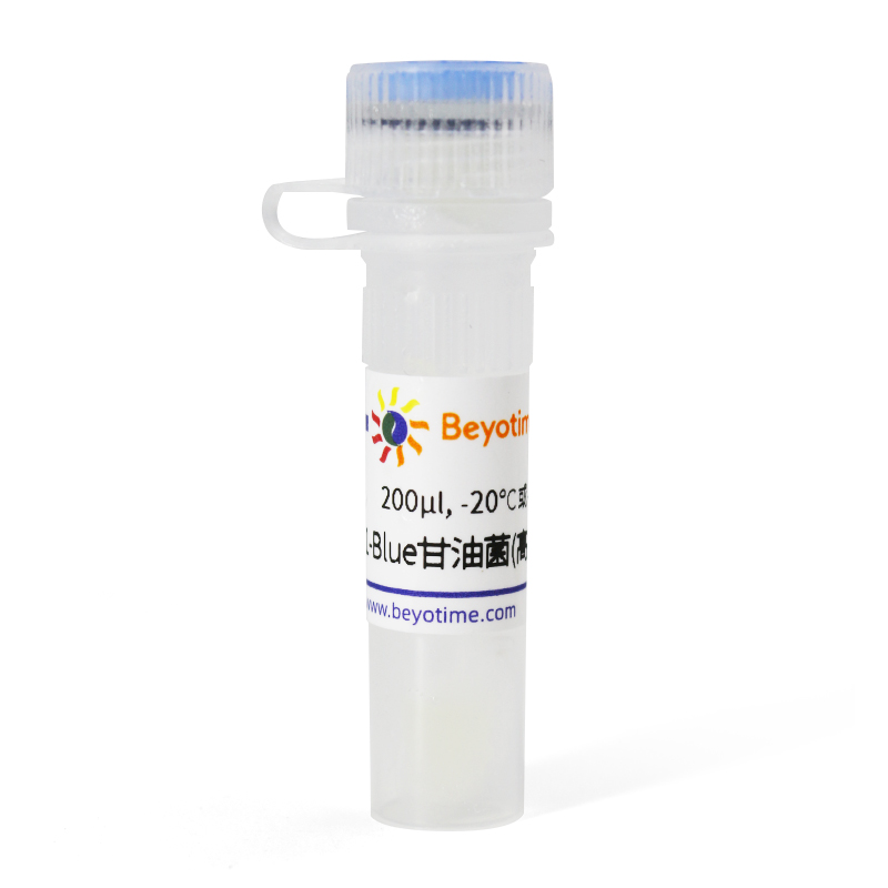 XL1-Blue甘油菌(高拷贝质粒菌株)