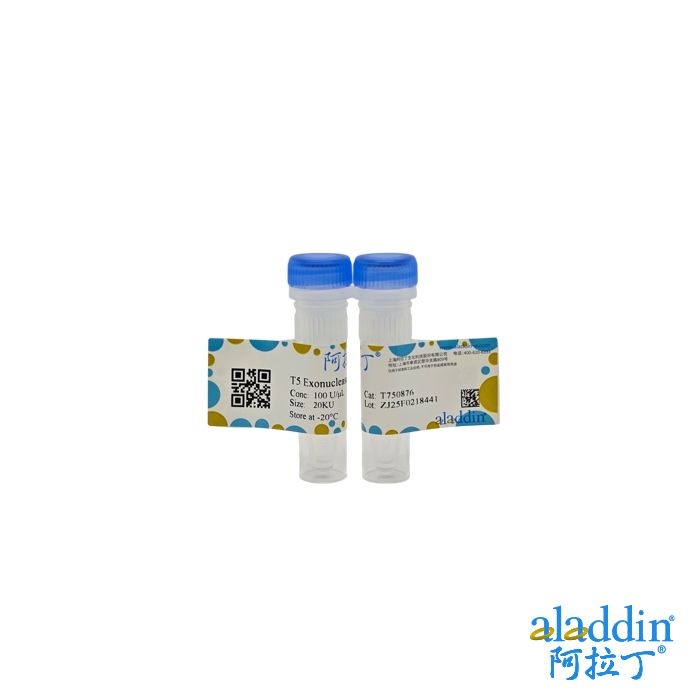 T5 Exonuclease