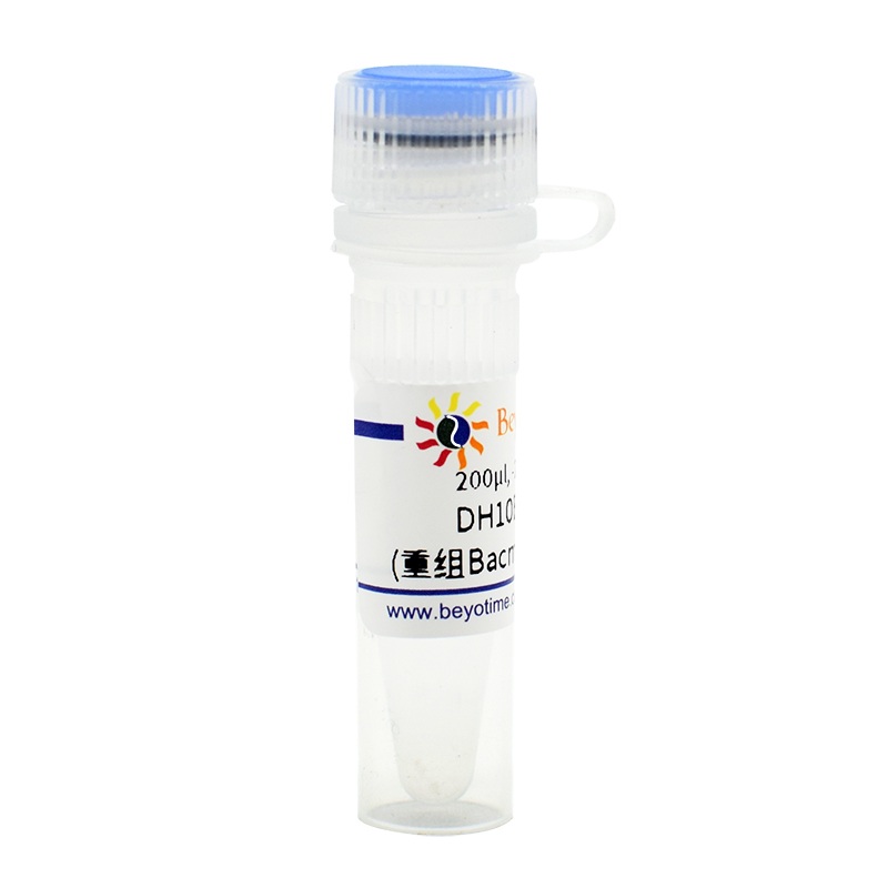 DH10Bac甘油菌(重组Bacmid制备用菌株)