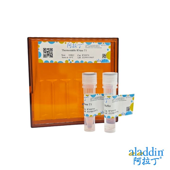 Thermostable RNase H