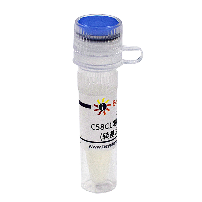 C58C1发根农杆菌甘油菌(转基因植物构建用)
