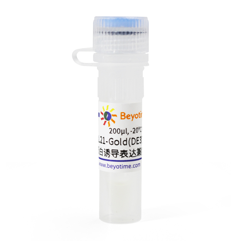 BL21-Gold(DE3)pLysS甘油菌(蛋白诱导表达兼质粒克隆菌株)