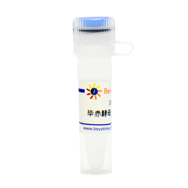 毕赤酵母GS115甘油菌