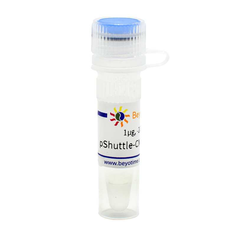 pShuttle-CMV-N-DsRed(腺病毒质粒，红色荧光)