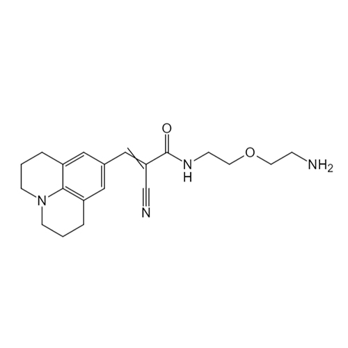 3058751-62-2/2-Propenamide, N-[2-(2-aminoethoxy)ethyl]-2-cyano-3-(2,3,6,7-tetrahydro-1H,5H-benzo[ij]quinolizin-9-yl)