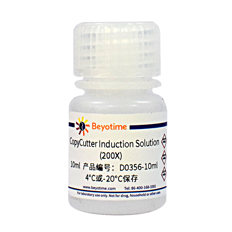 CopyCutter Induction Solution (200X)
