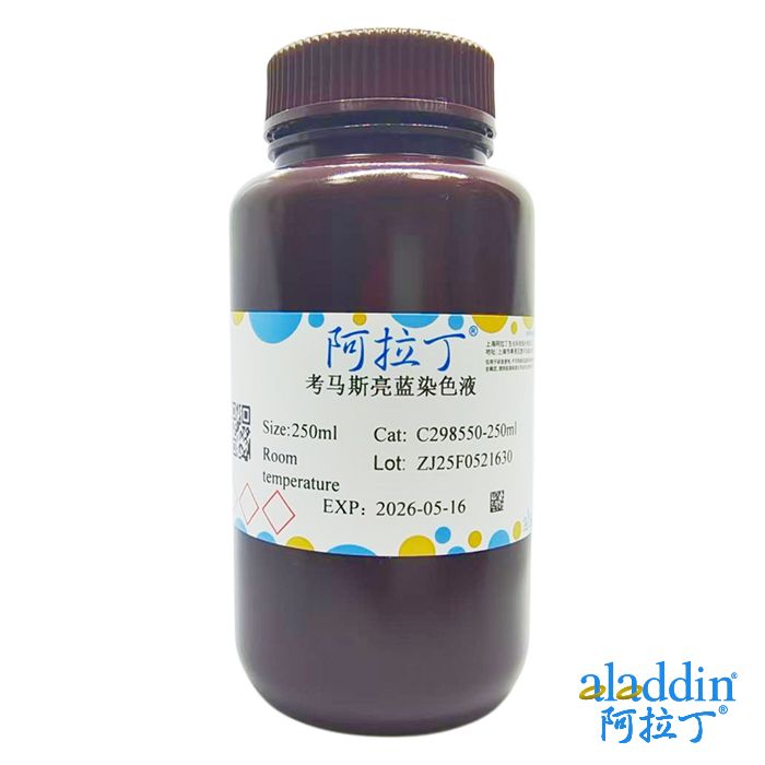 考马斯亮蓝染色液