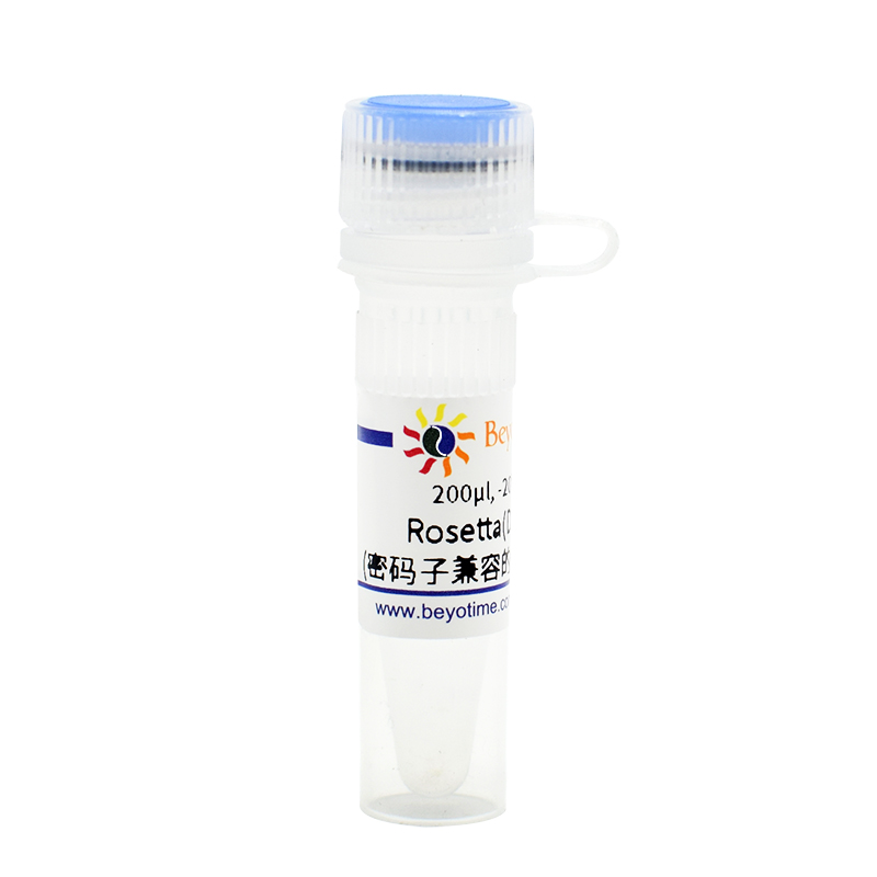 Rosetta(DE3)甘油菌(密码子兼容的蛋白诱导表达)
