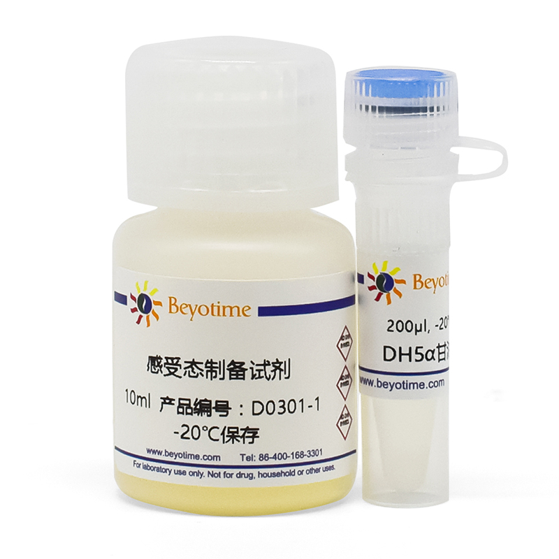 一步法感受态细菌制备试剂盒