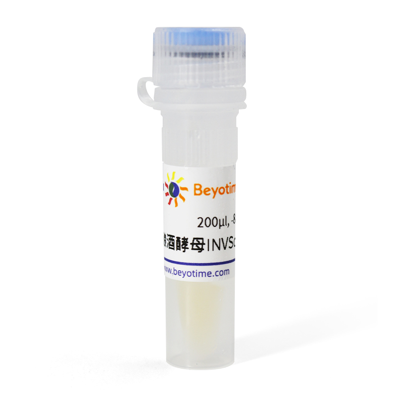 酿酒酵母INVSc1甘油菌