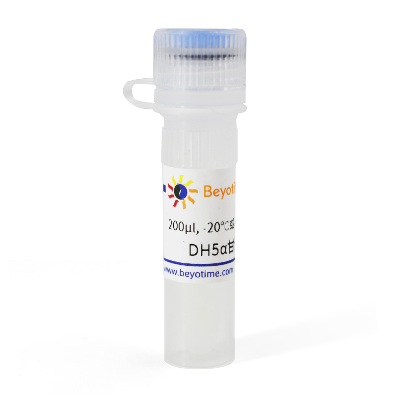 DH5α甘油菌