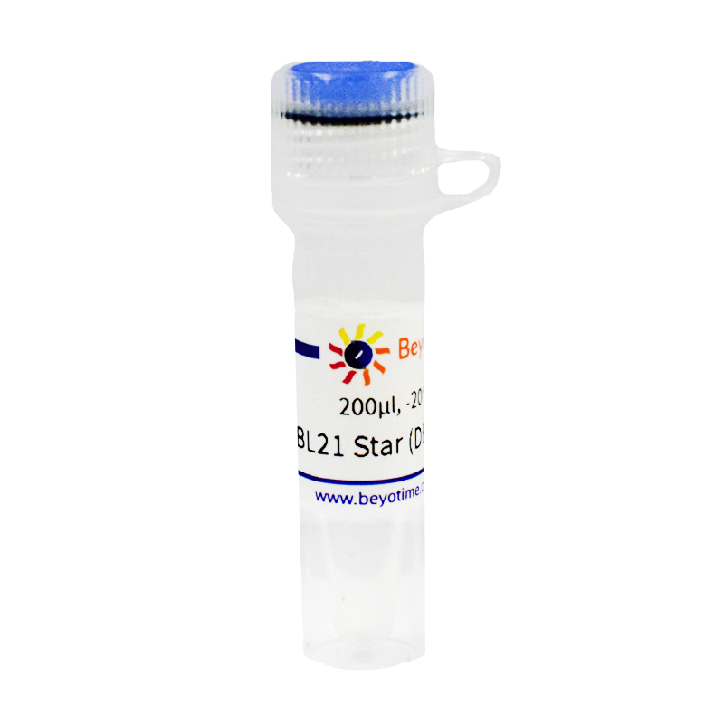 BL21 Star (DE3)pLysS甘油菌(低本底蛋白高诱导表达用)