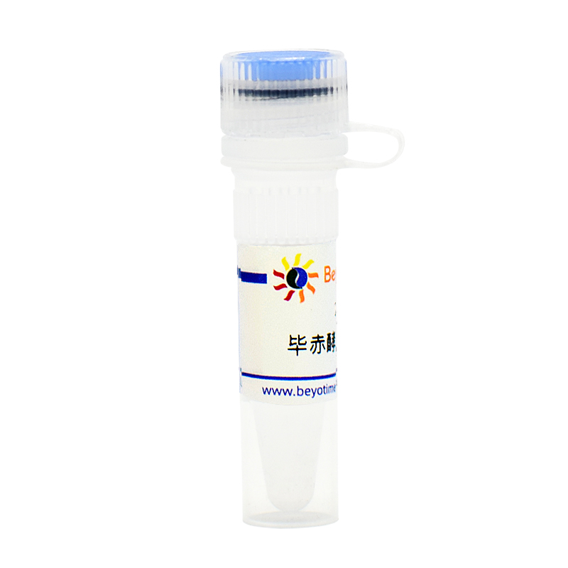 毕赤酵母X-33甘油菌