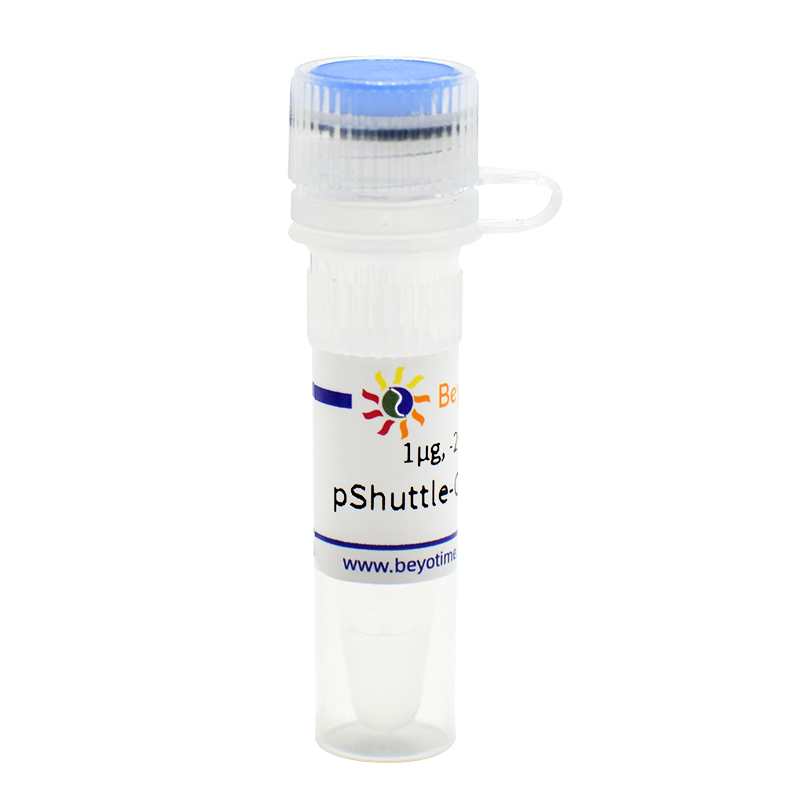 pShuttle-CMV-C-Myc(腺病毒质粒)