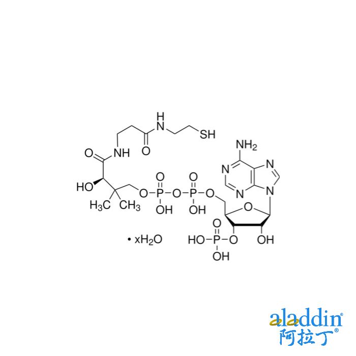 85-61-0(anhydrous)/辅酶A水合物(游离酸)