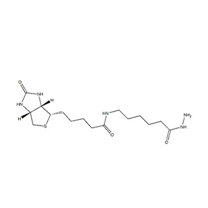 109276-34-8/ (+)-Biotinamidohexanoic acid hydrazide