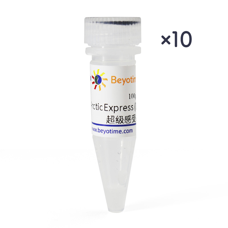 ArcticExpress(DE3)超级感受态细胞