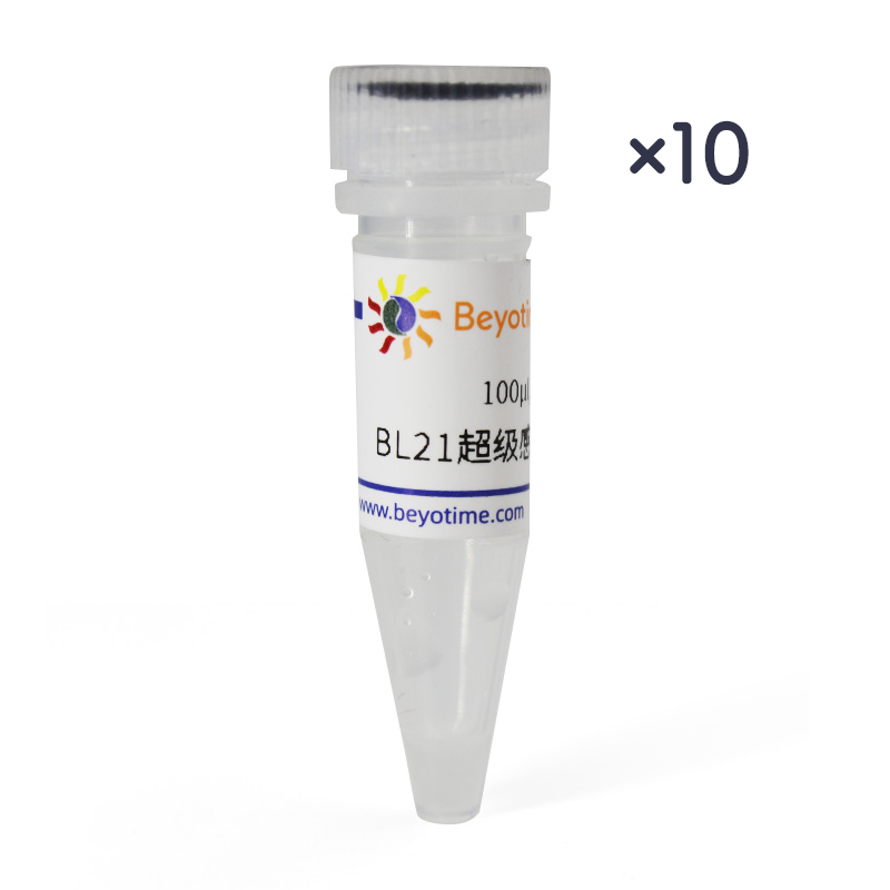 DB3.1超级感受态细胞