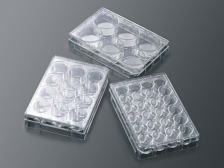 CellSCAFLD®3D细胞培养支架