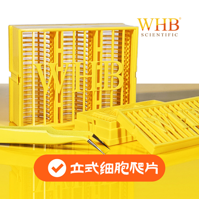 TC处理24孔板立式细胞爬片，灭菌