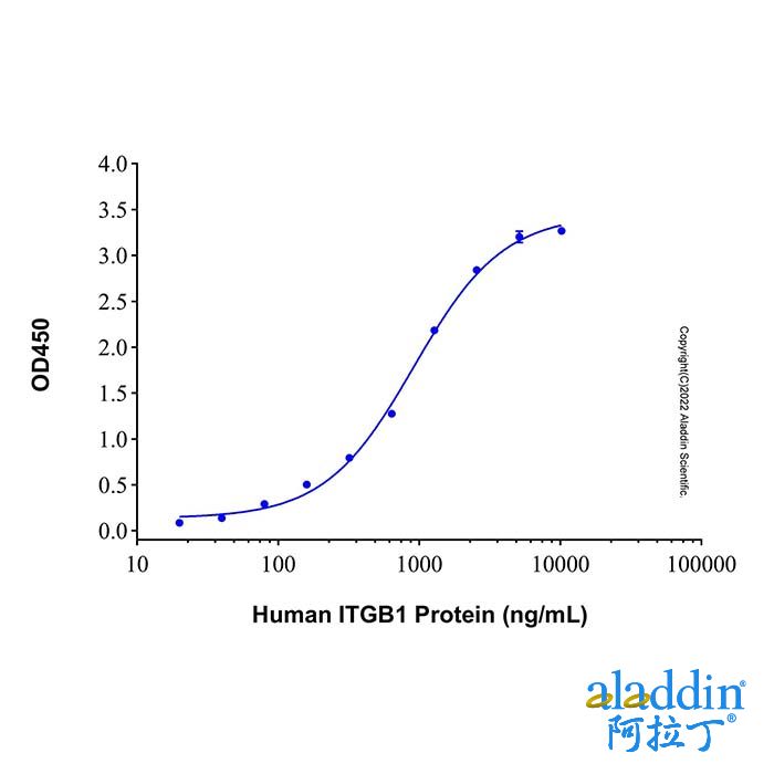 Recombinant Human CD98 Protein