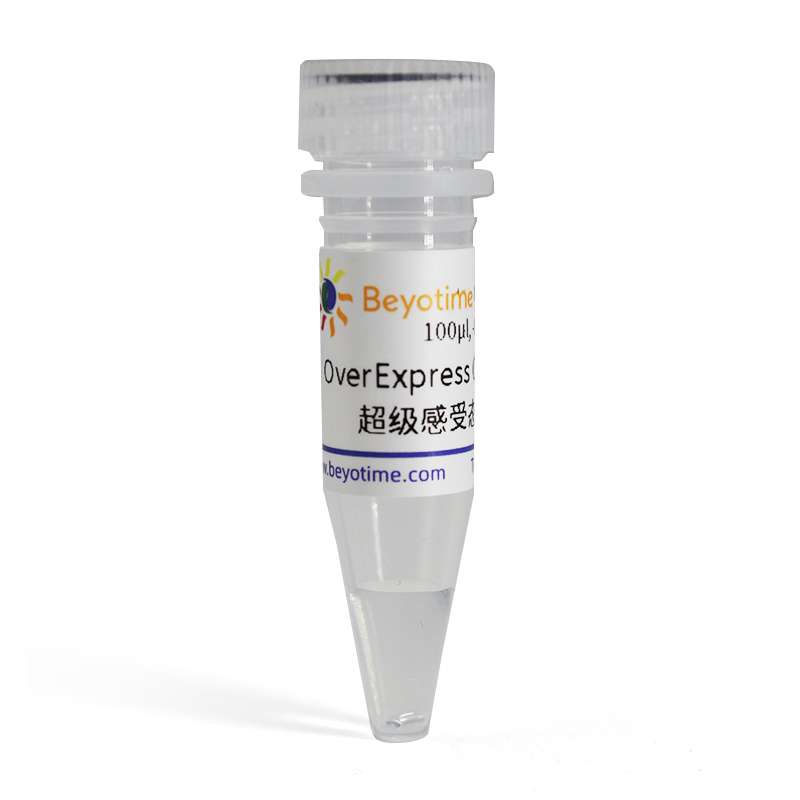OverExpress C43(DE3)超级感受态细胞